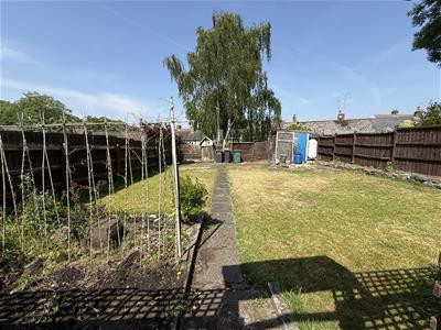 Picture 19